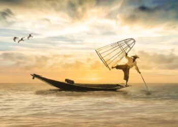 How To Catch Your Next Big Fish