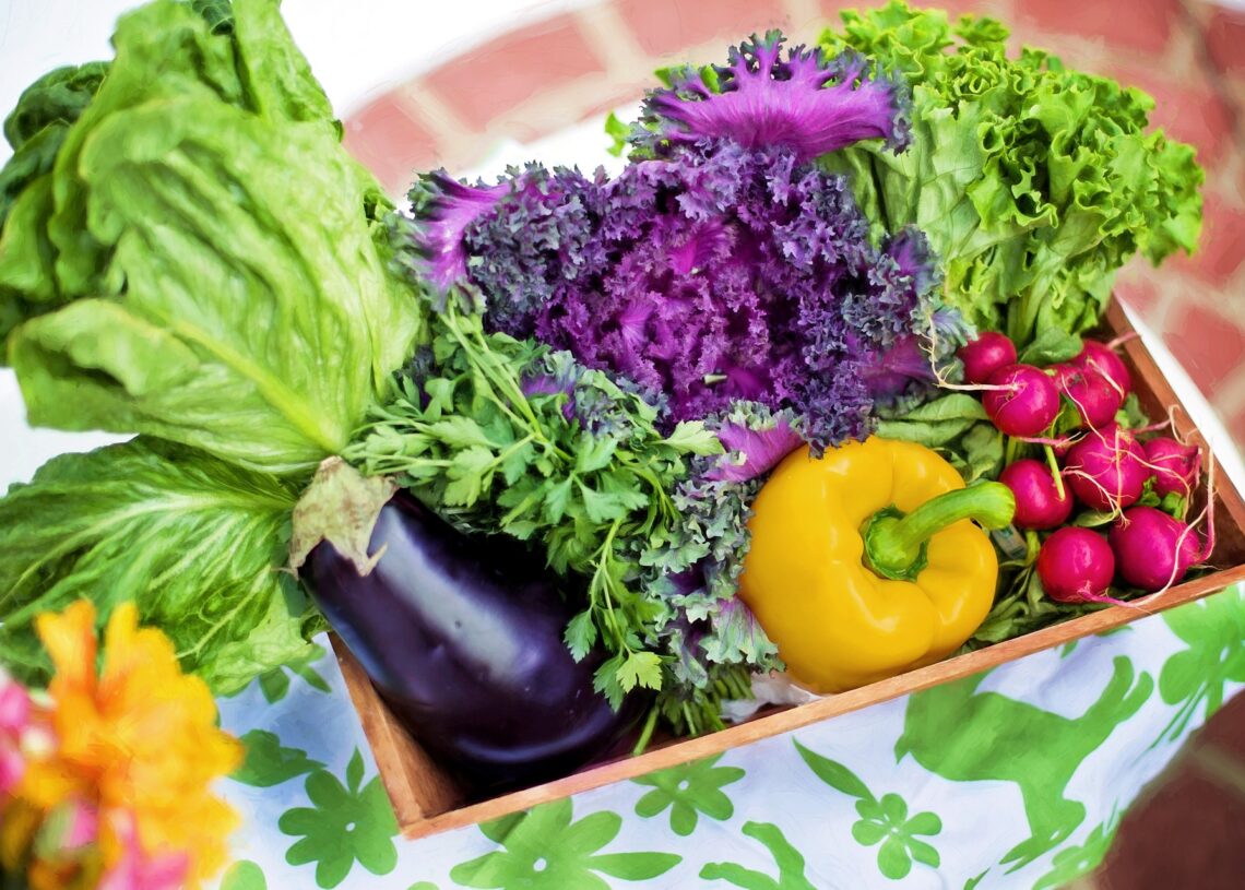 Organic Gardening