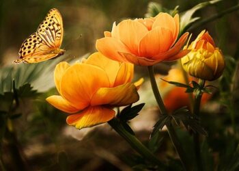 Simple Advice On Good Gardening