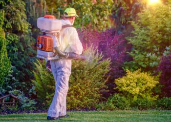 Prime Months to Hire Lawn Care for Pest Control Treatment in KS