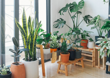 Important to Keep to Your Home Improvements 