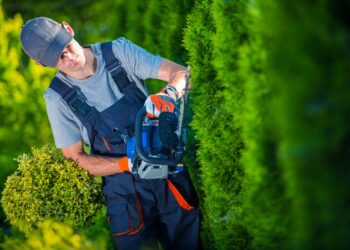 7 Key Questions to Ask the Best Landscaping Company When Hiring Them