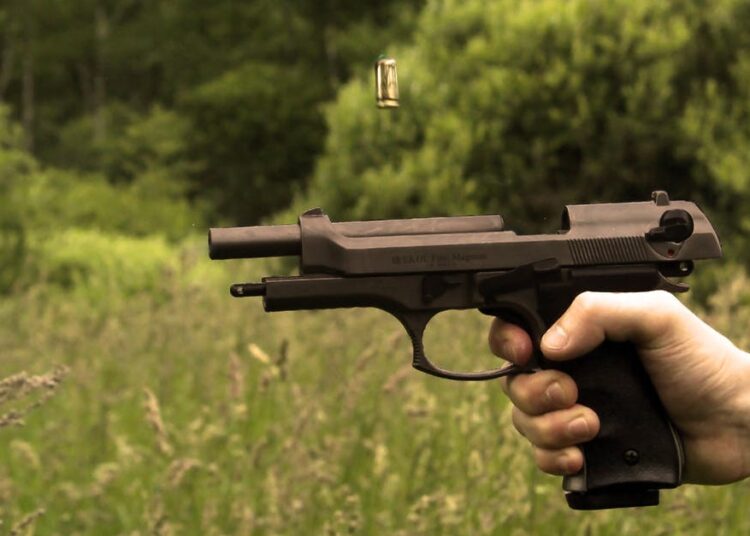 Want to Build a Custom Gun? Here’s a Quick Guide