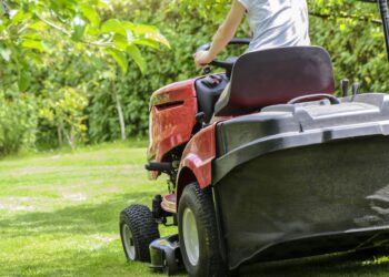 How to Prepare Your Lawn for Spring and Summer