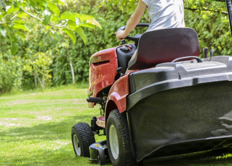 How to Prepare Your Lawn for Spring and Summer