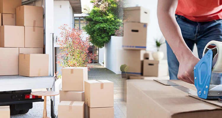 Moving professional switches and packages creates a fun experience