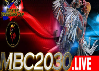 What Is MBC2030 And How Can You Participate?