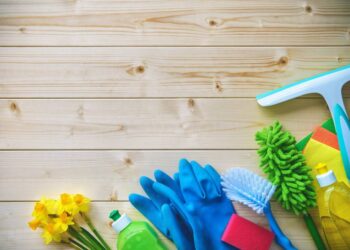 What Are Cowebs And Why Should I Care and clean?