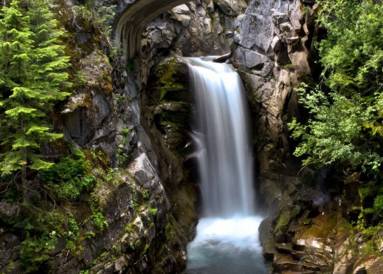 What is metropolitan nature?