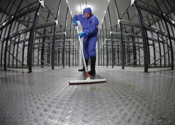 3 Reasons To Hire a Professional Service For Warehouse Clearing