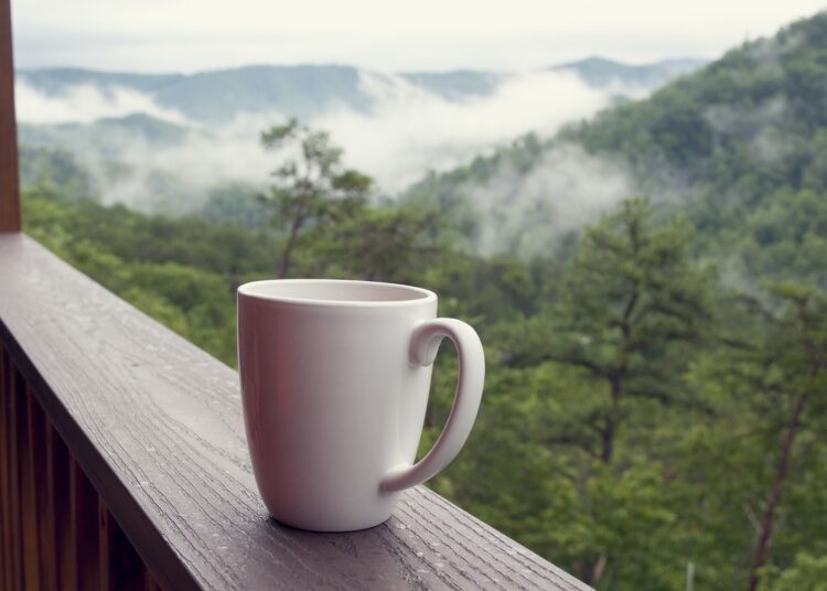 Top 5 Reasons Why You Must Visit the Great Smoky Mountains