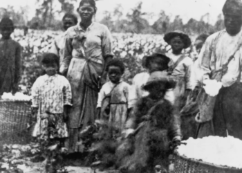 Realities of Living in Savannah, Georgia for Black Families